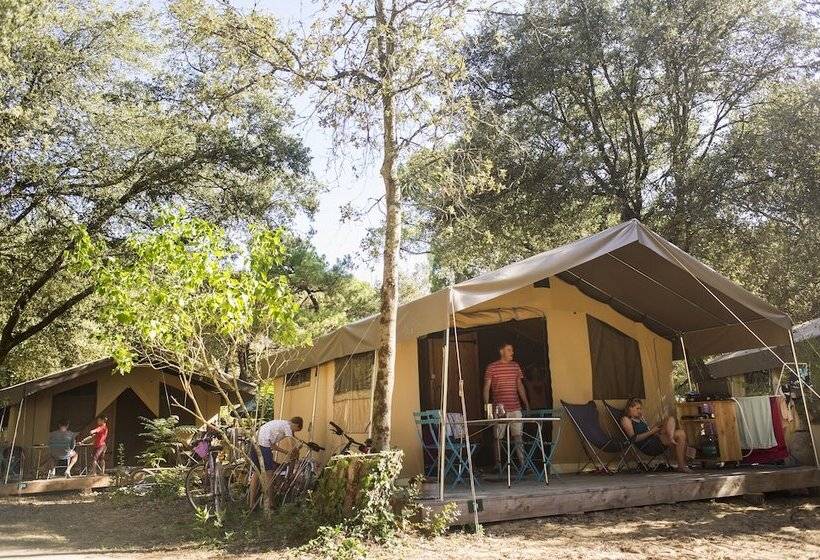 酒店 Huttopia Ile De Ré   Chardons Bleus