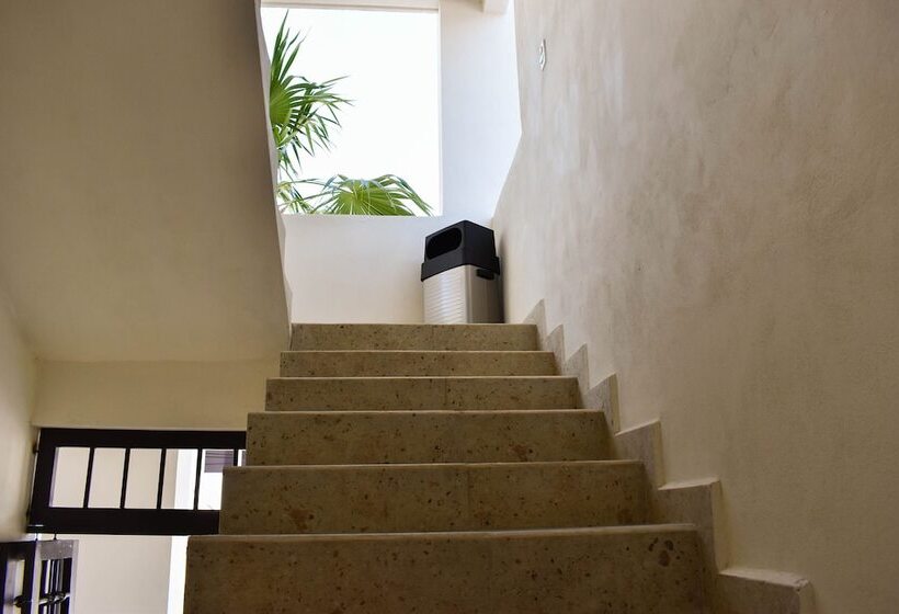 בית מלון כפרי Muchin