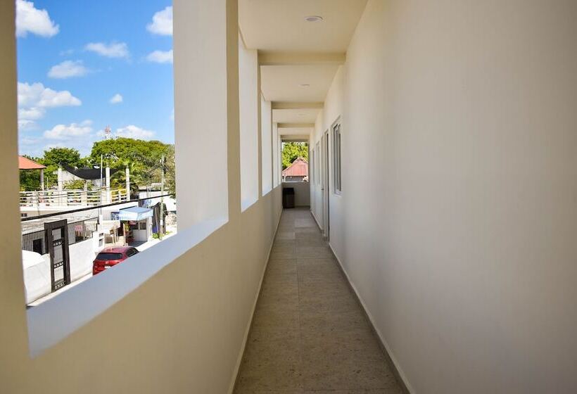 בית מלון כפרי Muchin