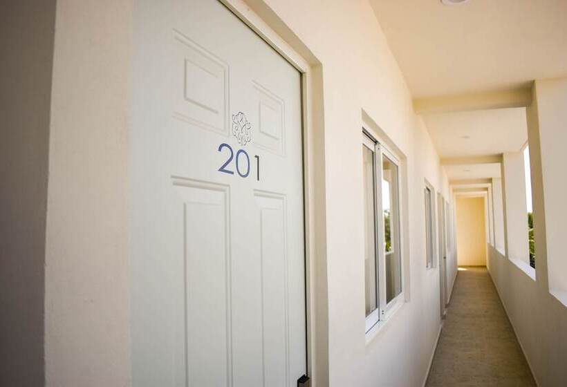 בית מלון כפרי Muchin