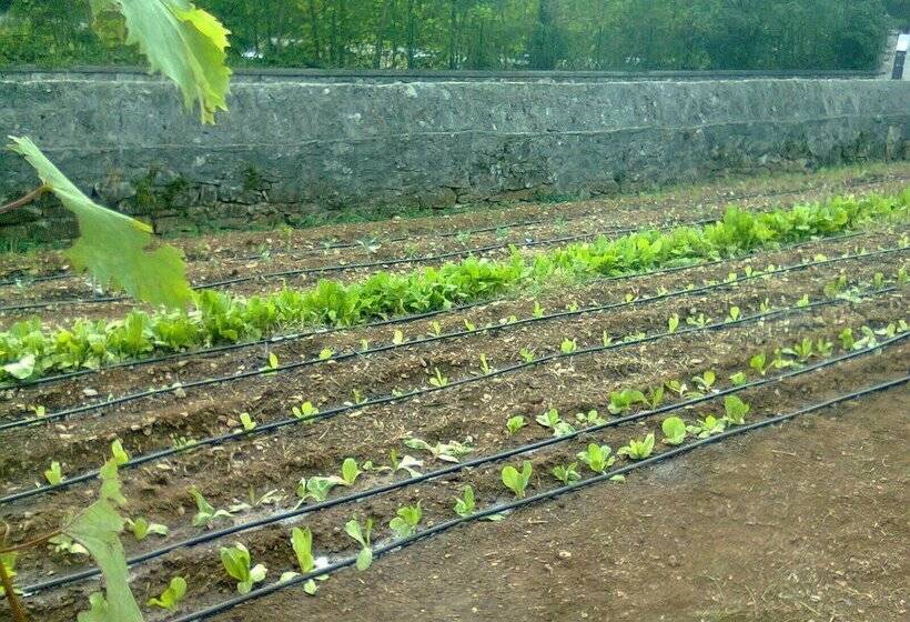 فندق ريفى Camping Agrituristico Carso