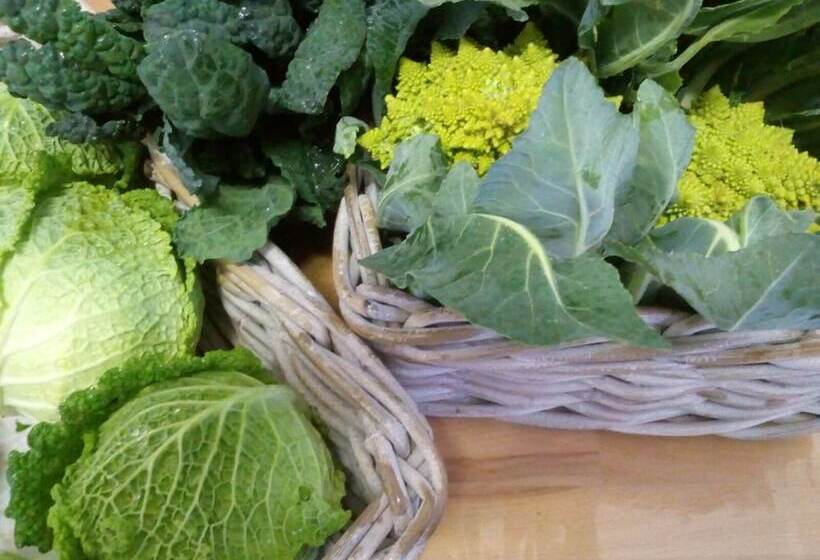 فندق ريفى Camping Agrituristico Carso