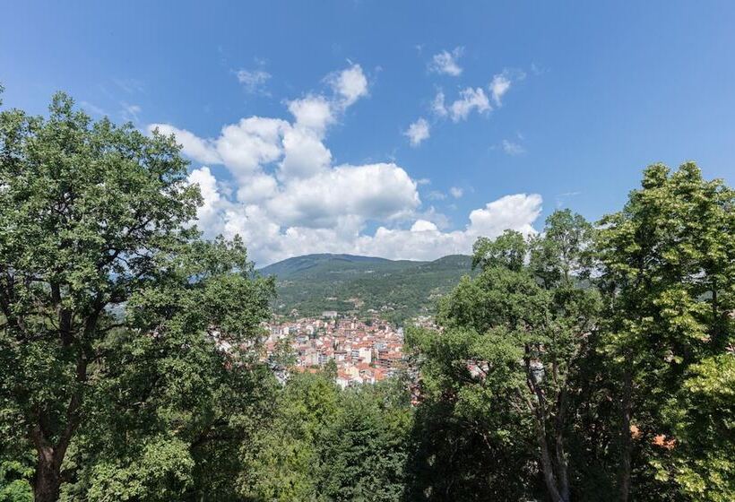 酒店 The Lynx Mountain Resort