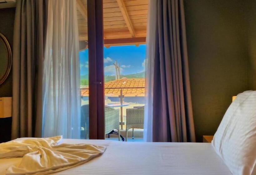 בית מלון כפרי Viky