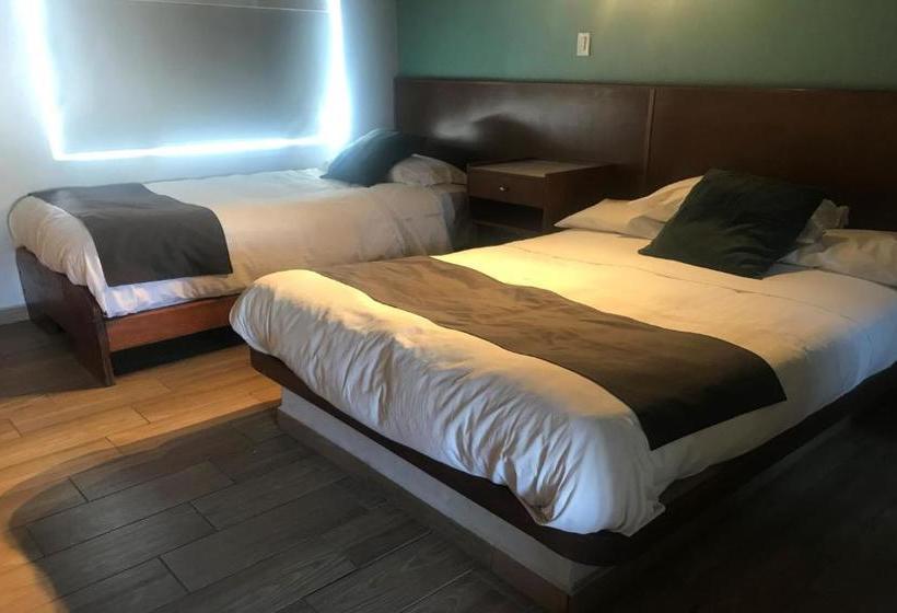 ホテル Capital O América