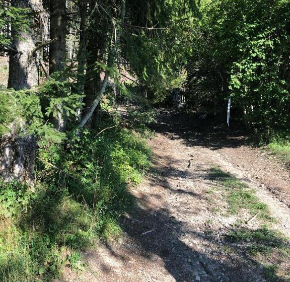 פנסיון L Epervier Blanc