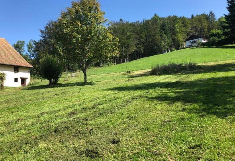 פנסיון L Epervier Blanc