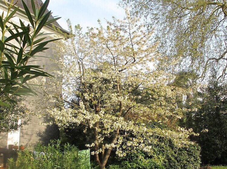 Пансион Villa Dampierre