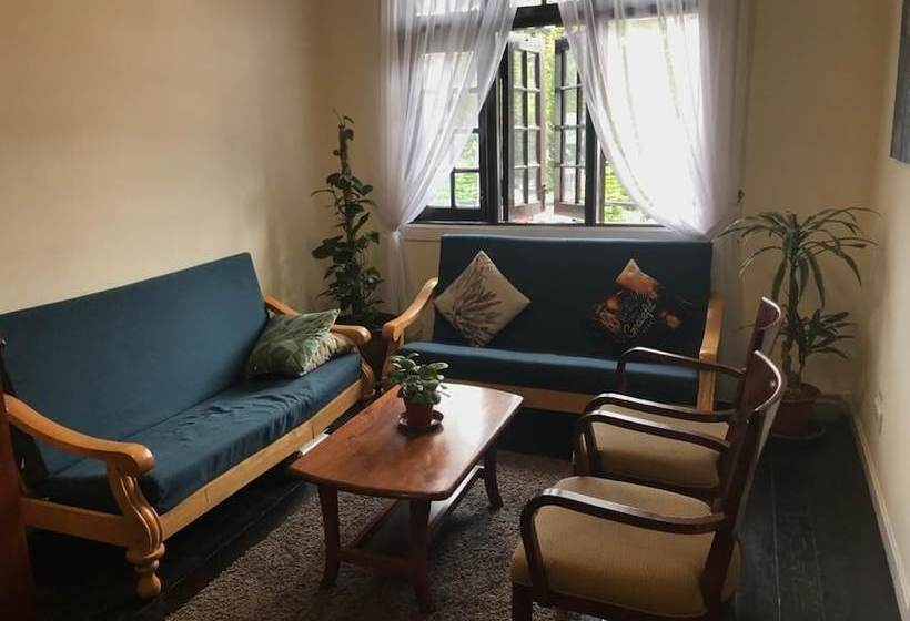 فندق صغير Downtown Bunkers