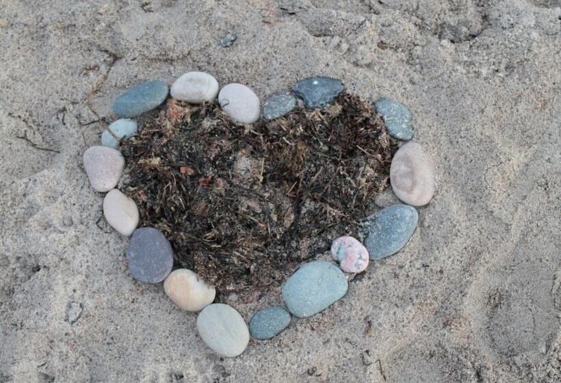 Ferienwohnung In Strandnaehe In Kuehlungsborn