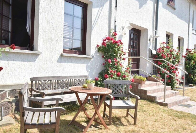 Ferienwohnung In Strandnaehe In Kuehlungsborn