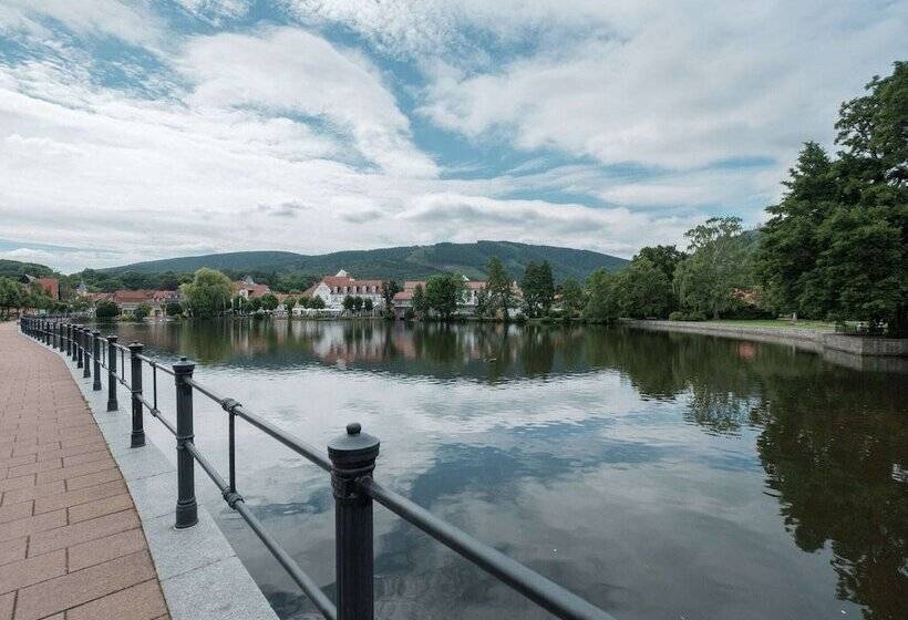 Attractive Bungalow In Ilsenburg With Terrace