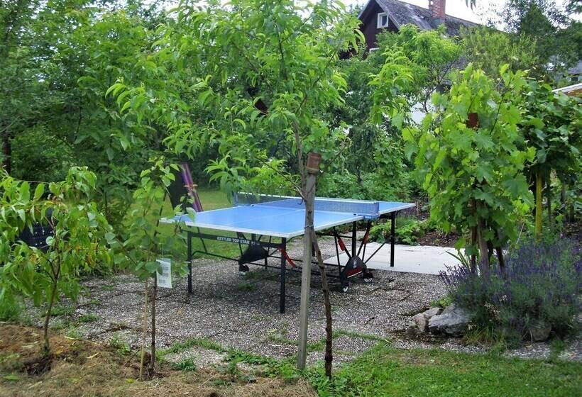 Apartment In Bernau Near The Ski Area