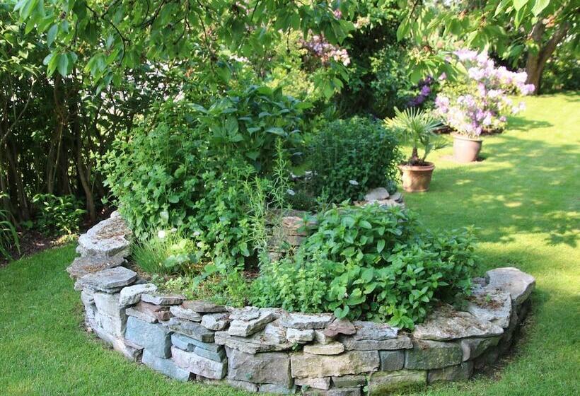 Cosy Apartment In The Harz Mountains