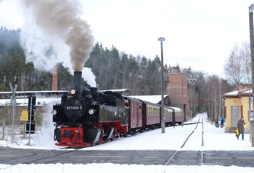 Snug Holiday Home In Quedlinburg Near Forest