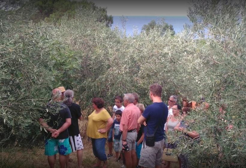 Domaine Oléicole Du Mas Boutet  B&b