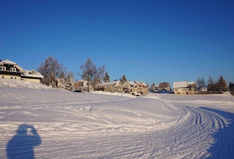 Fantastic Apartment In Frauenwald Near Forest