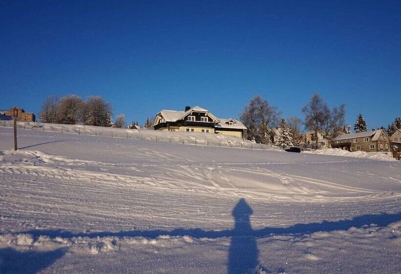 Fantastic Apartment In Frauenwald Near Forest