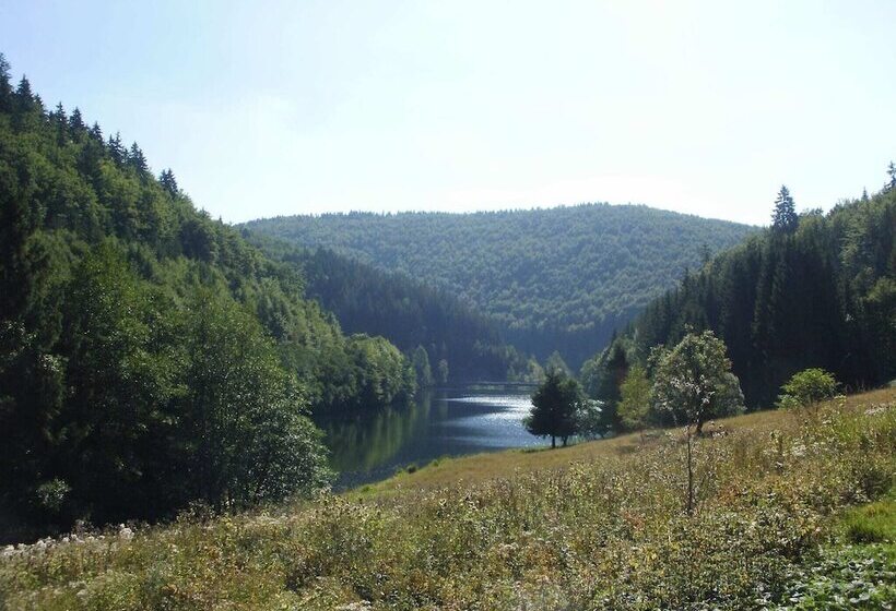 Fantastic Apartment In Frauenwald Near Forest