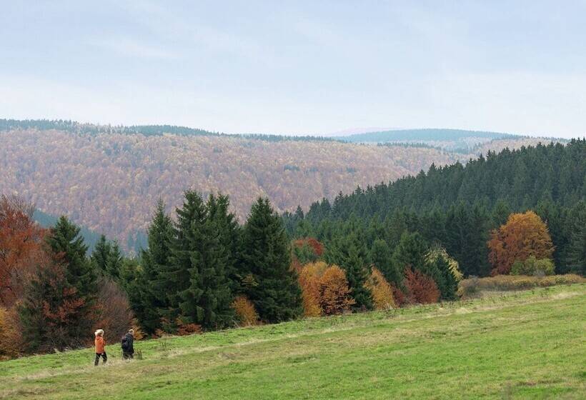 Fantastic Apartment In Frauenwald Near Forest