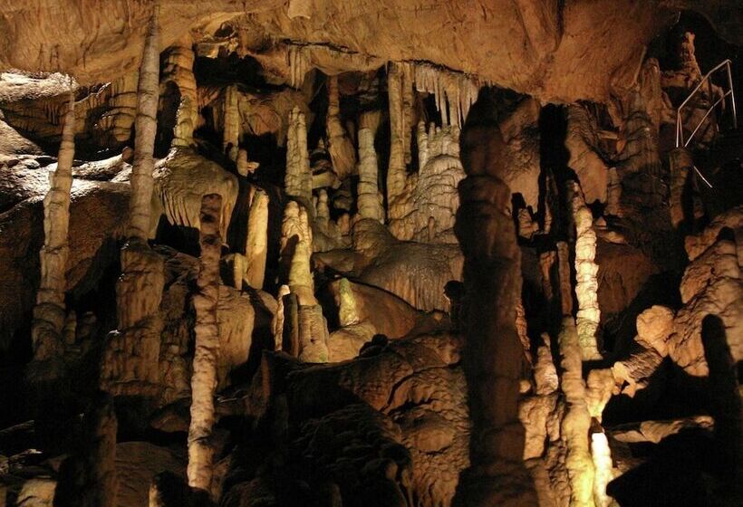 Home With Lots Of Light And A Great View