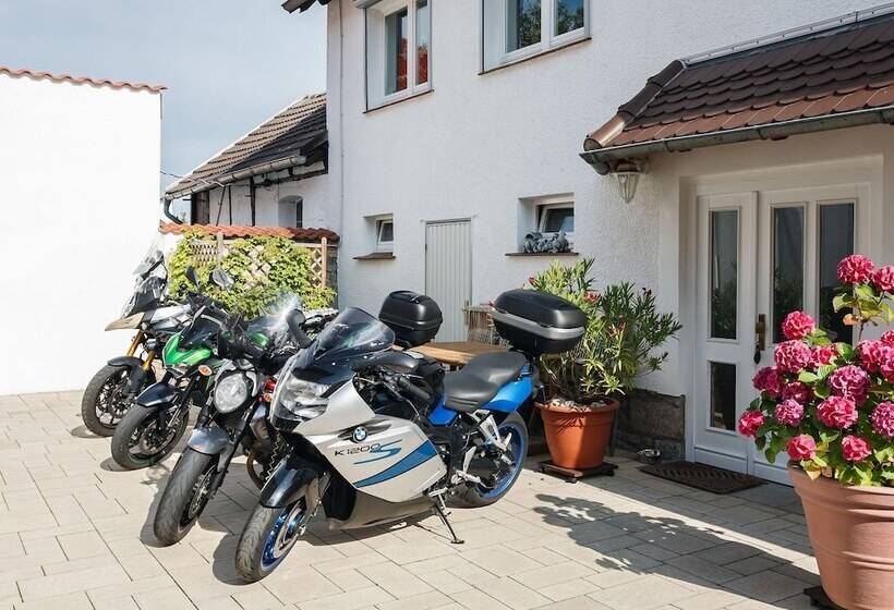 Home With Lots Of Light And A Great View