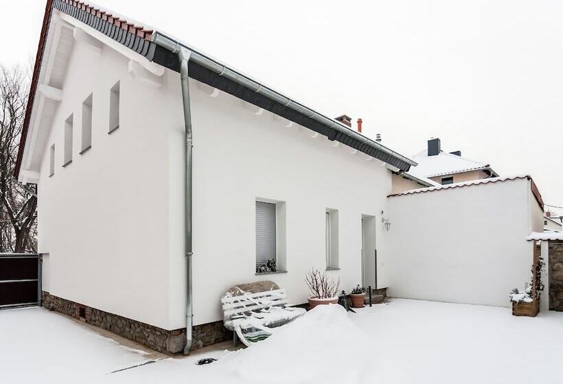 Home With Lots Of Light And A Great View