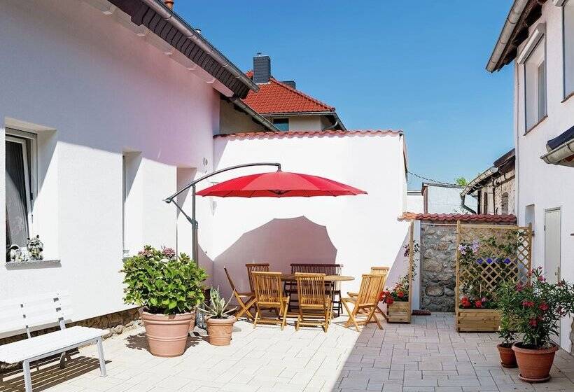 Home With Lots Of Light And A Great View