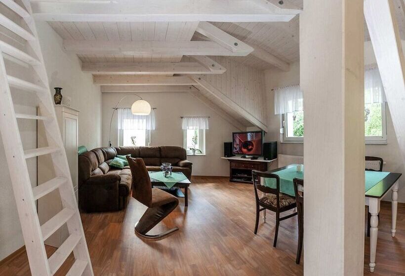 Home With Lots Of Light And A Great View