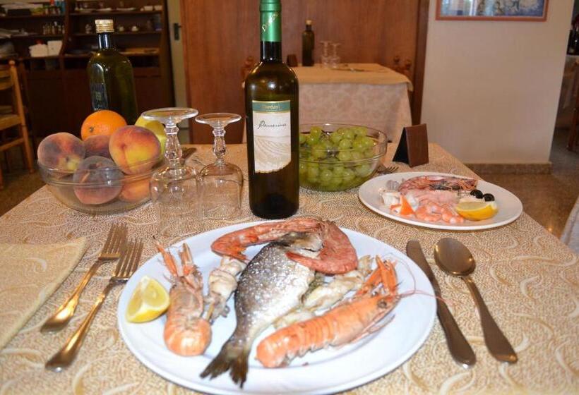 مسافرخانه Paradiso