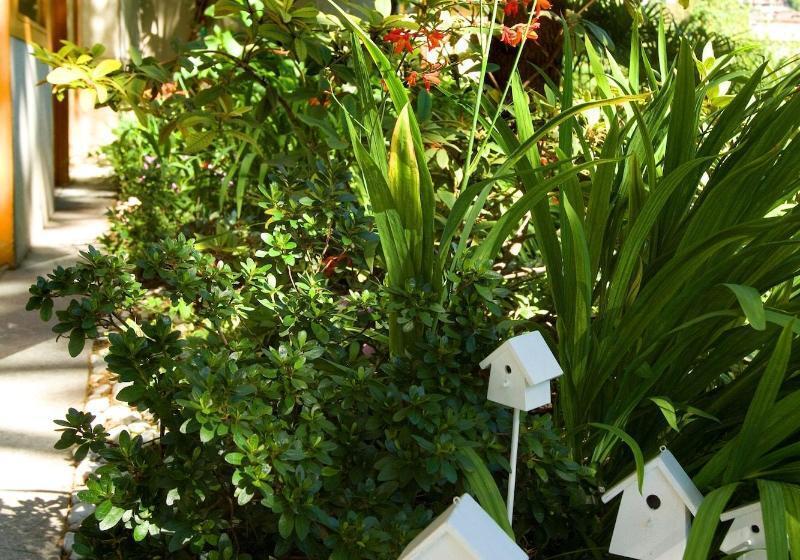 בית מלון כפרי Albergo Sorriso