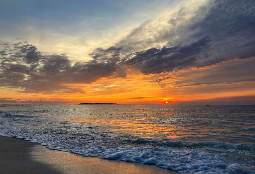 酒店 Hilton Okinawa Sesoko Resort