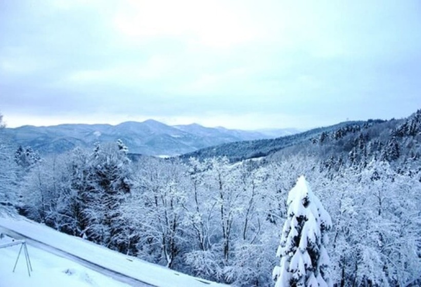 酒店 L'hostellerie Le Turckheim Croix D'or