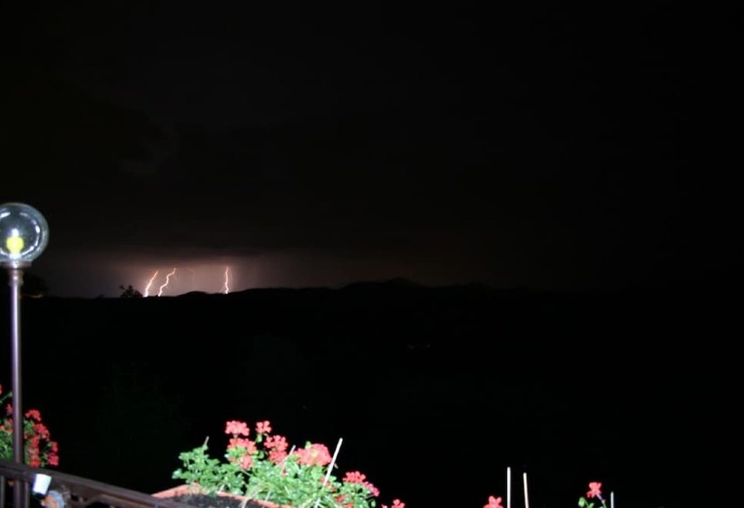 酒店 L'hostellerie Le Turckheim Croix D'or