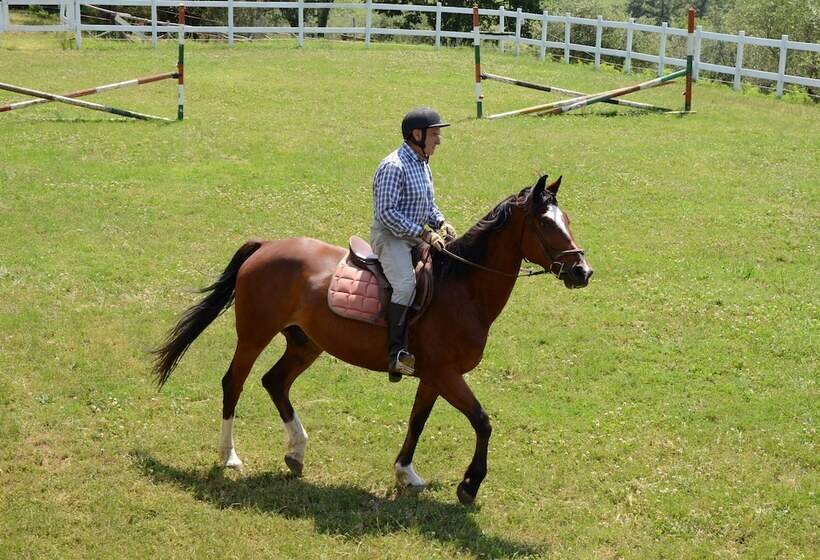 فندق ريفى Agriturismo Le Case Rosse Di Montebuono