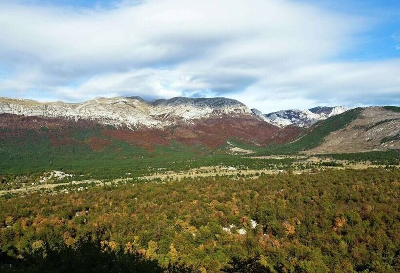 Luxury Apartment With Heated Pool In Starigrad