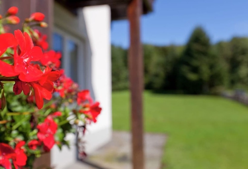 Modern Apartment In Bolsdorf With Sauna
