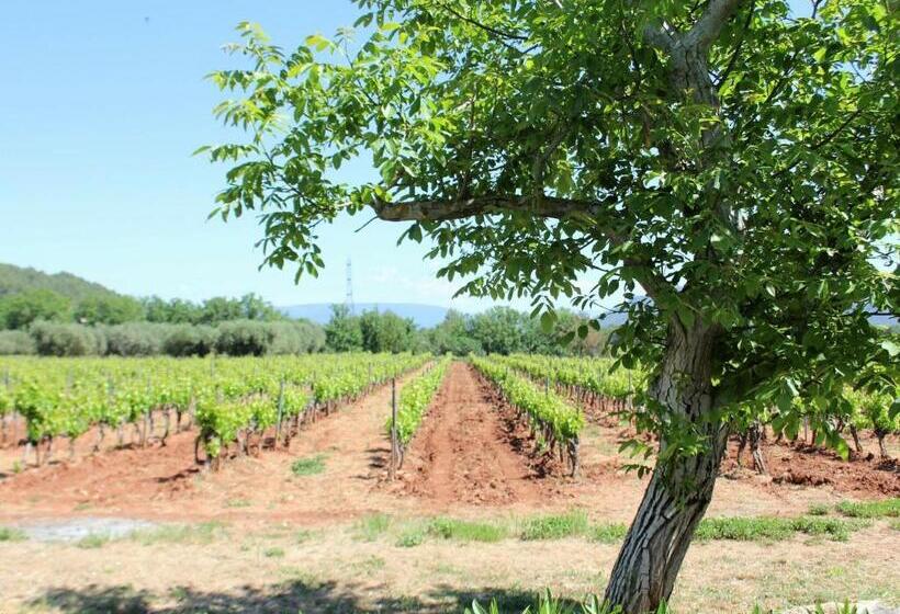 Modern Villa In La Motte With Swimming Pool