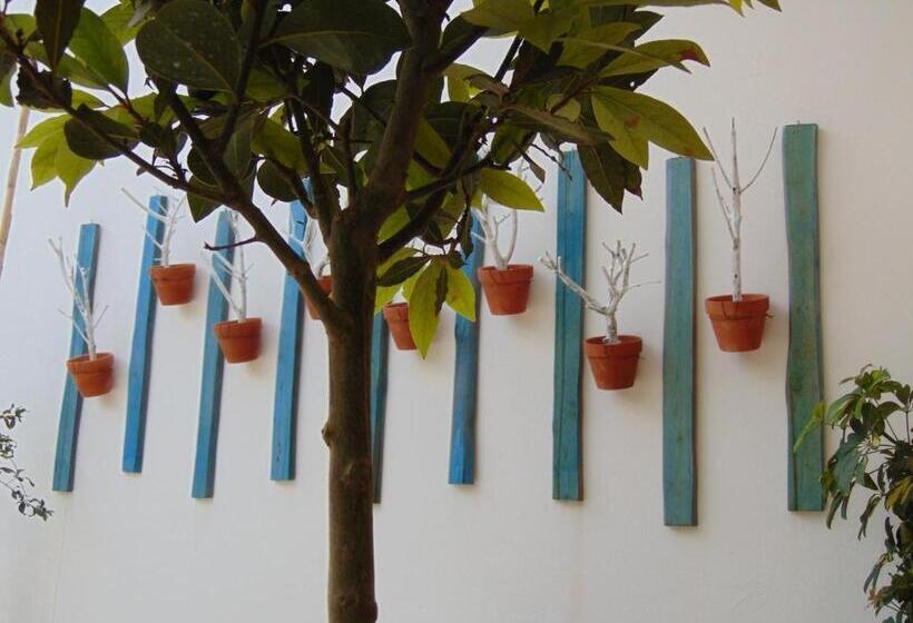 More Crete Village House Koutouloufari   New Outdoor Pool   6 Guests