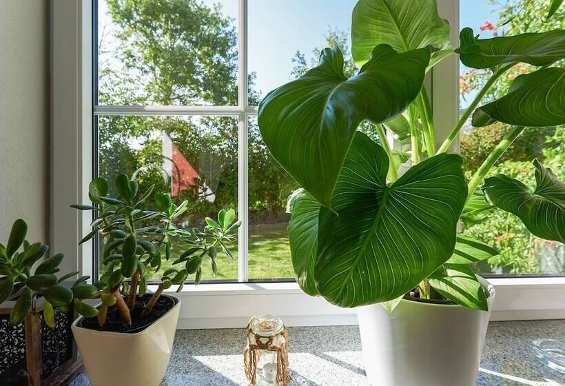 Apartment With Sauna