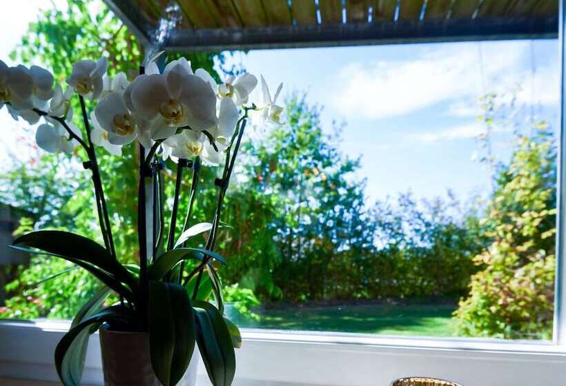 Apartment With Sauna
