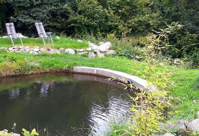 Apartment With Panoramic View