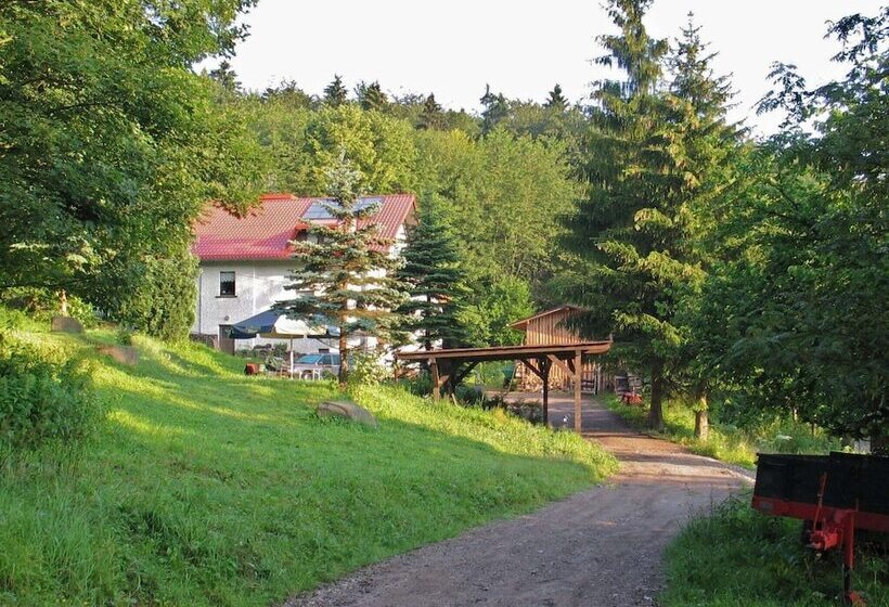 Apartment With Panoramic View