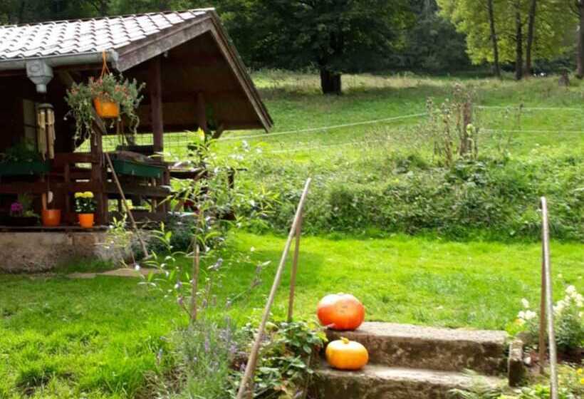 Apartment With Panoramic View