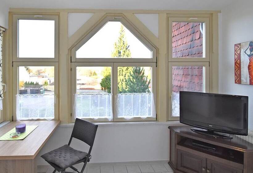 Spacious Apartment In Ballenstedt Harz Near Lake