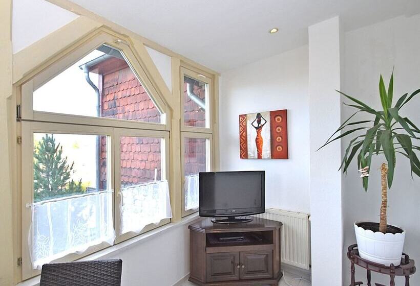 Spacious Apartment In Ballenstedt Harz Near Lake