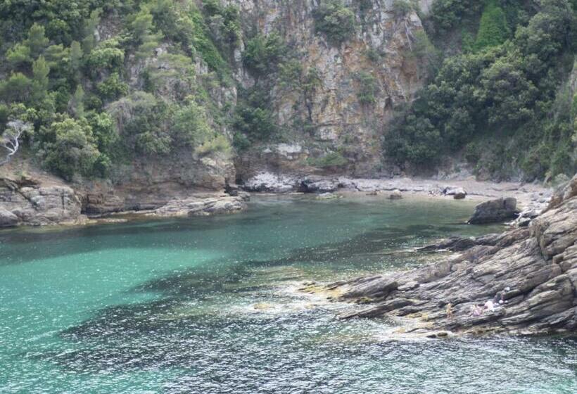 Spacious Villa Near Sea In Cavalaire Sur Mer