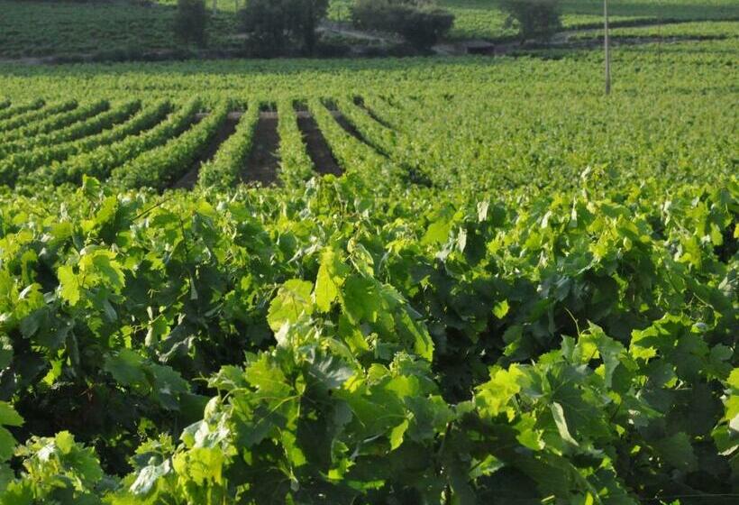 Spacious Villa Near Sea In Cavalaire Sur Mer