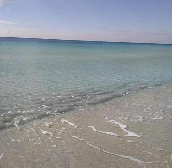 B&b Colori Del Salento