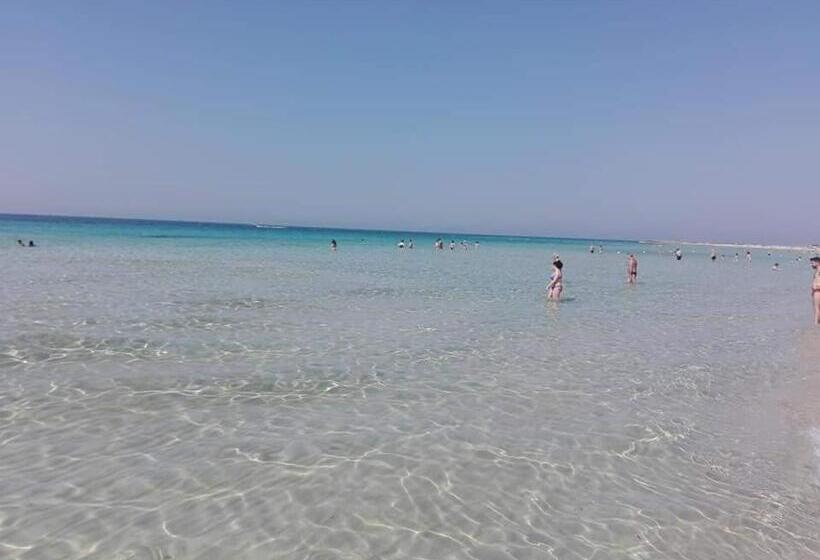 B&b Colori Del Salento